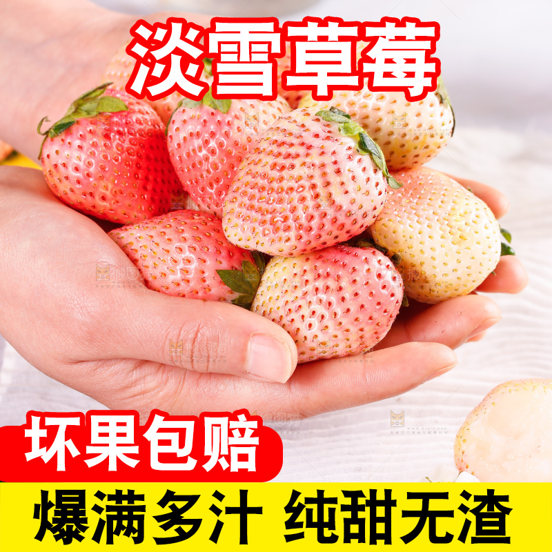 浅底上的淡雪草莓