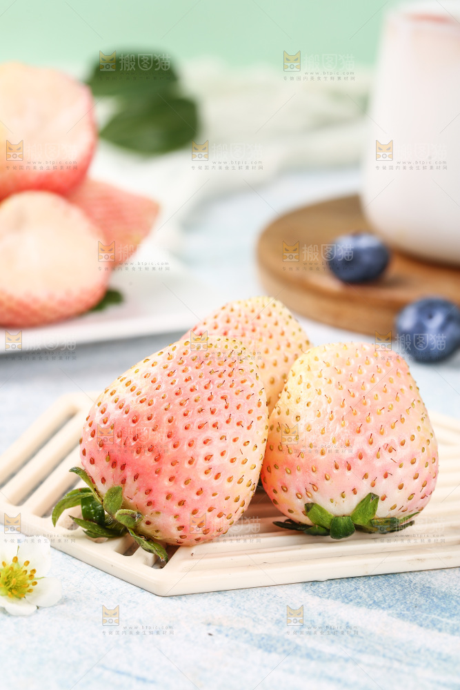 浅底上的淡雪草莓