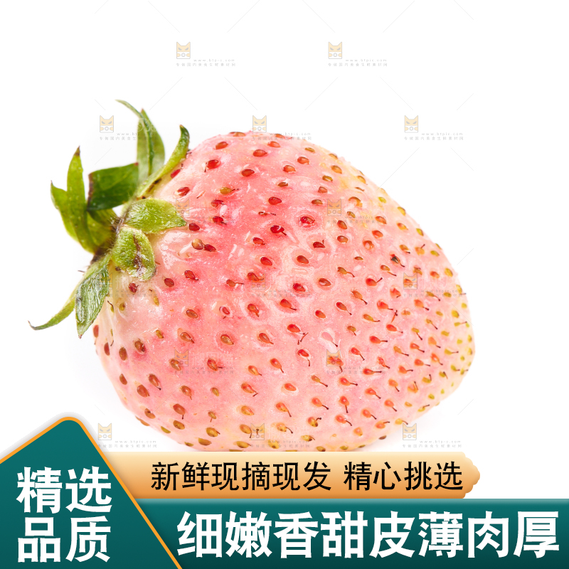 白底上的淡雪草莓