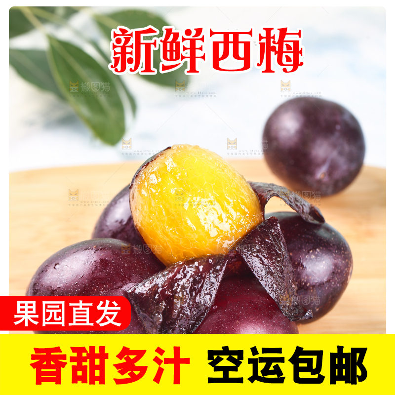 浅底上的澳洲西梅