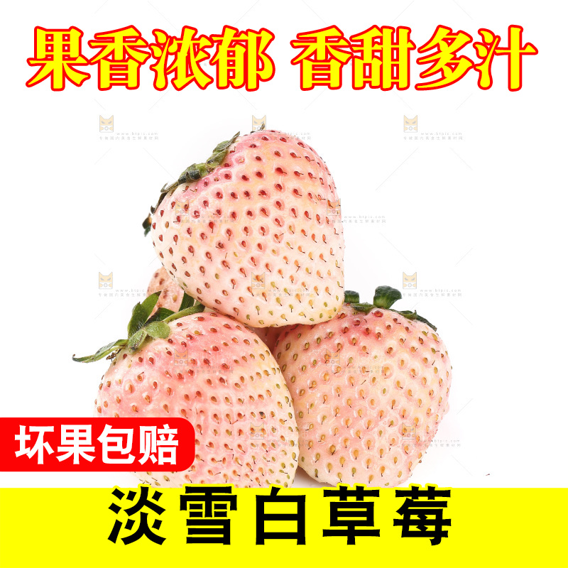 白底上的淡雪草莓