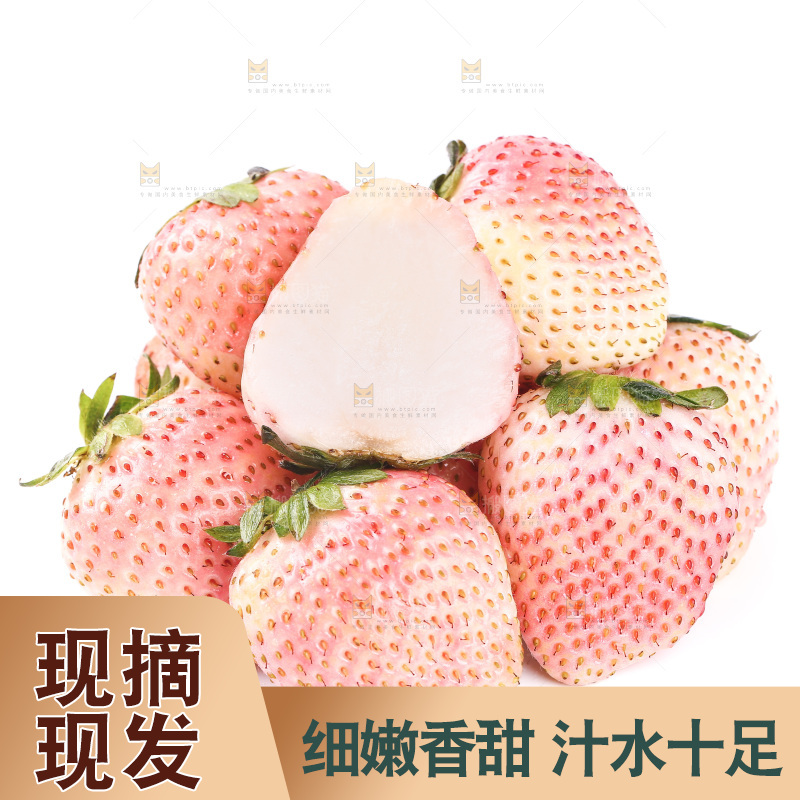白底上的淡雪草莓