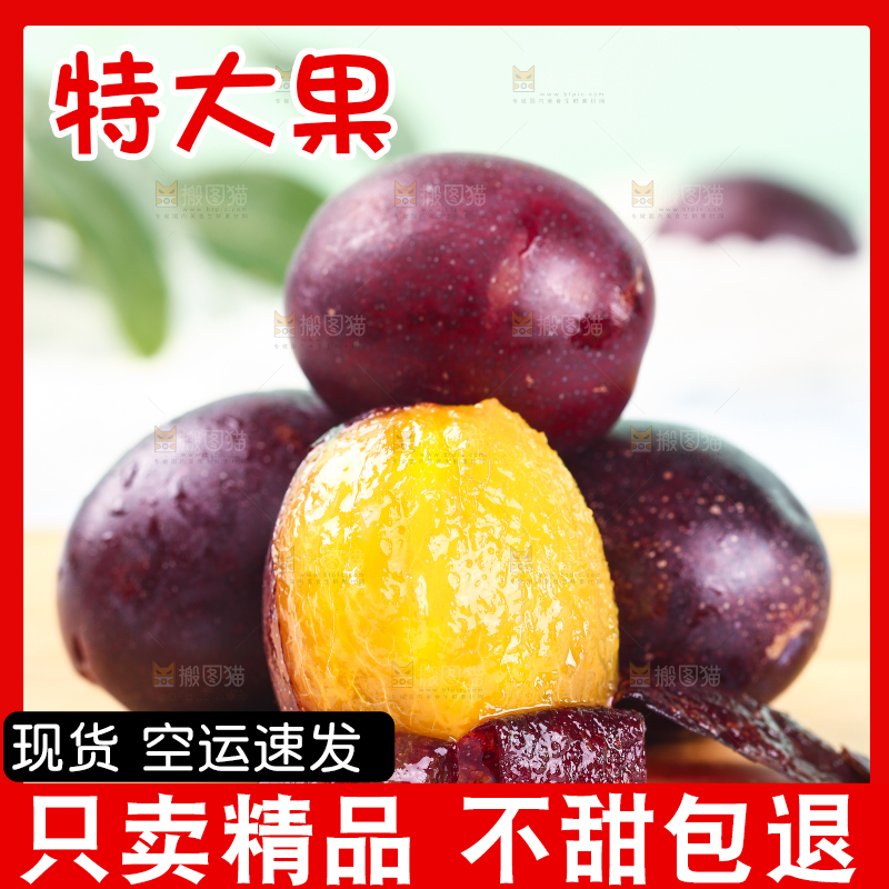 浅底上的澳洲西梅