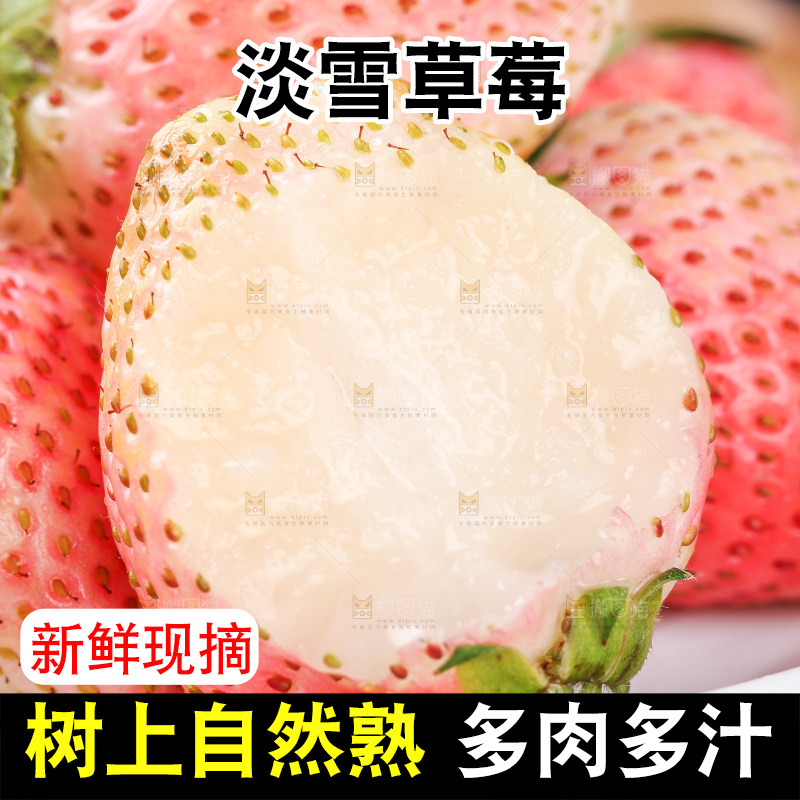 浅底上的淡雪草莓