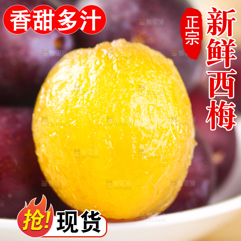 浅底上的澳洲西梅