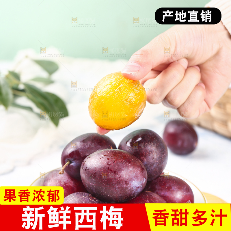 浅底上的澳洲西梅