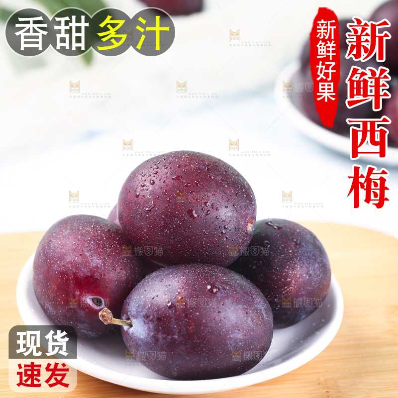 浅底上的澳洲西梅