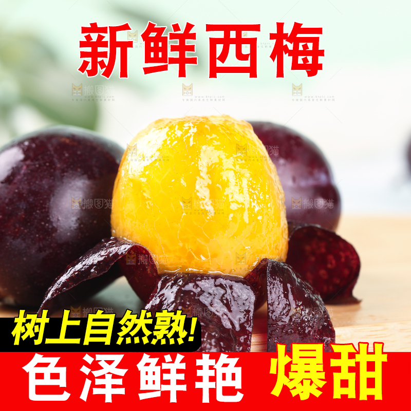 浅底上的澳洲西梅
