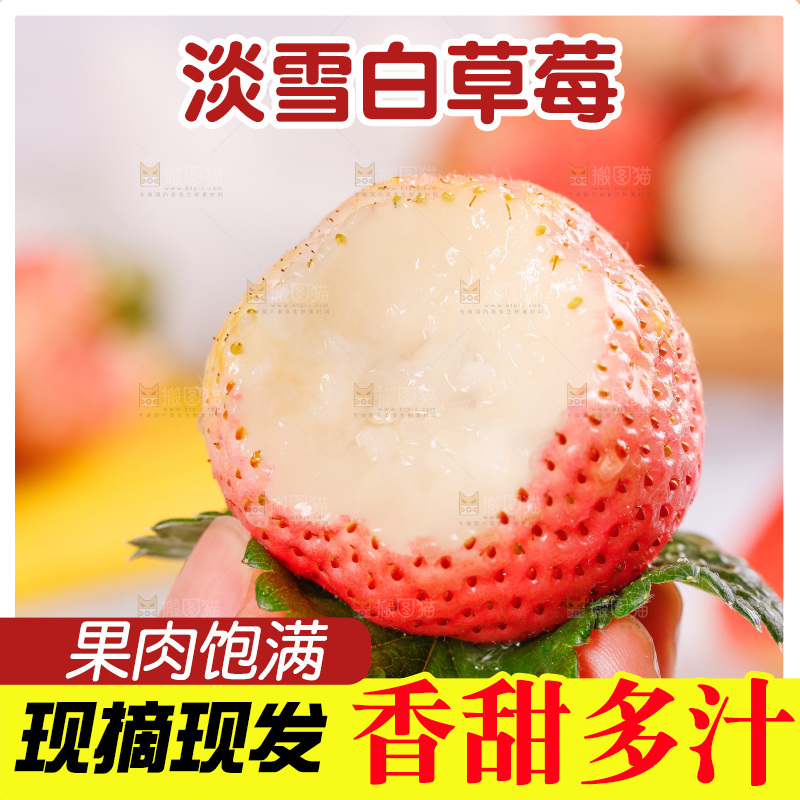 浅底上的淡雪草莓