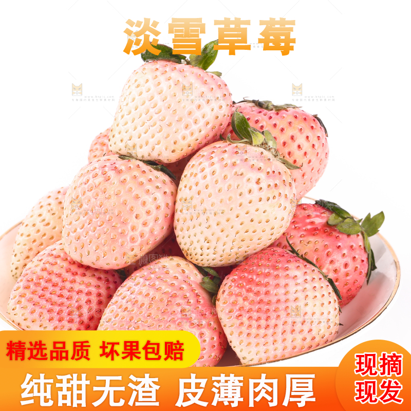 白底上的淡雪草莓