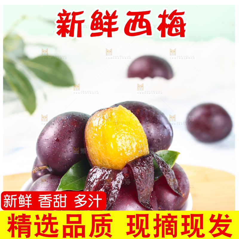 浅底上的澳洲西梅