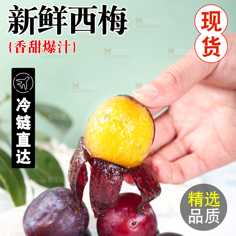 浅底上的澳洲西梅