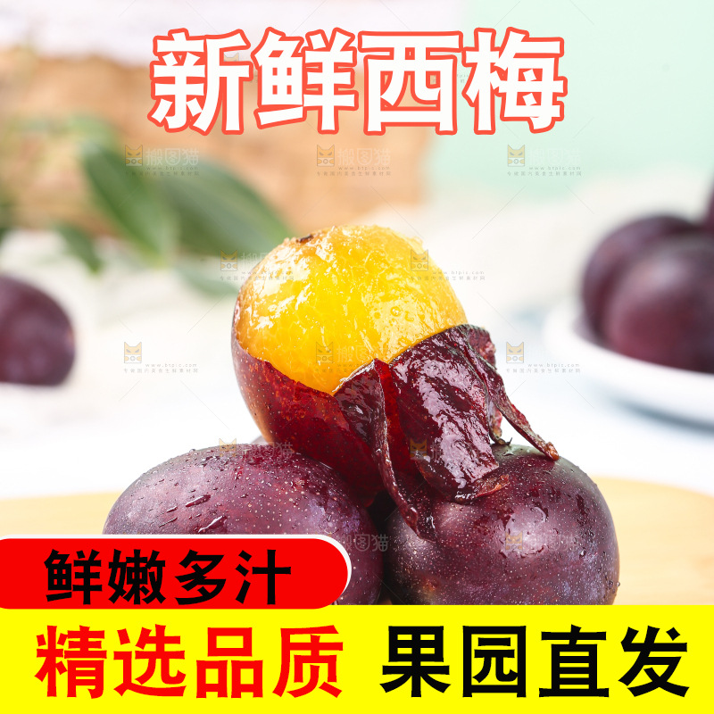 浅底上的澳洲西梅