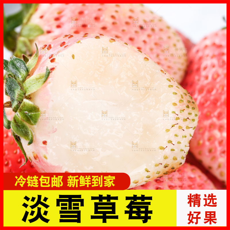 浅底上的淡雪草莓