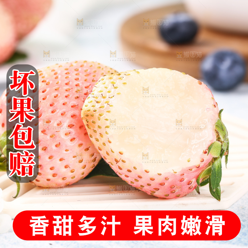浅底上的淡雪草莓