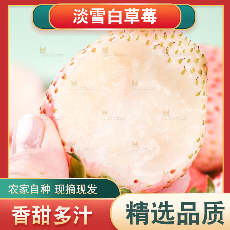 浅底上的淡雪草莓