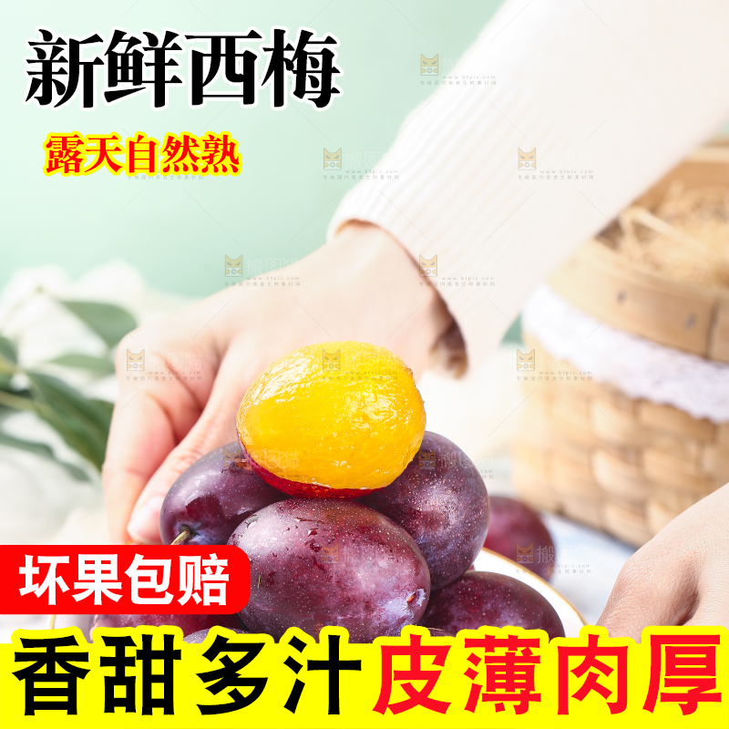 浅底上的澳洲西梅