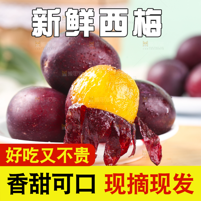 浅底上的澳洲西梅