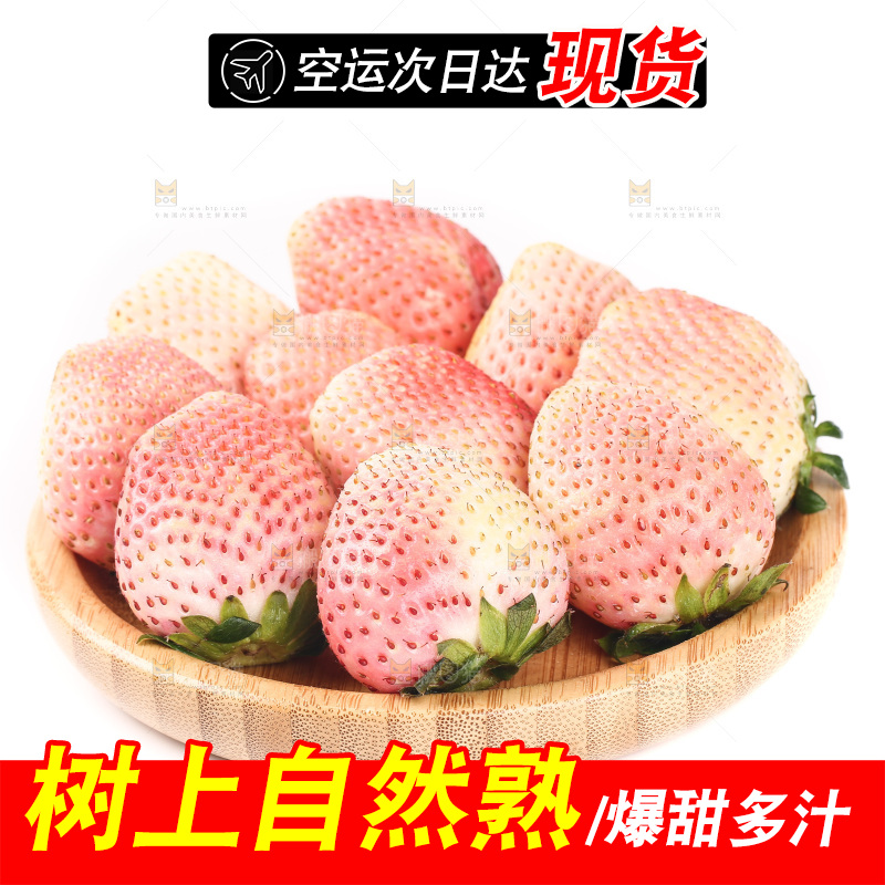 白底上的淡雪草莓