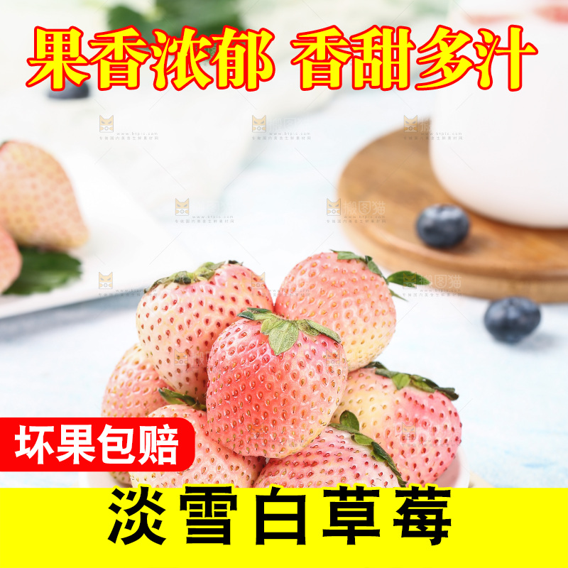 浅底上的淡雪草莓