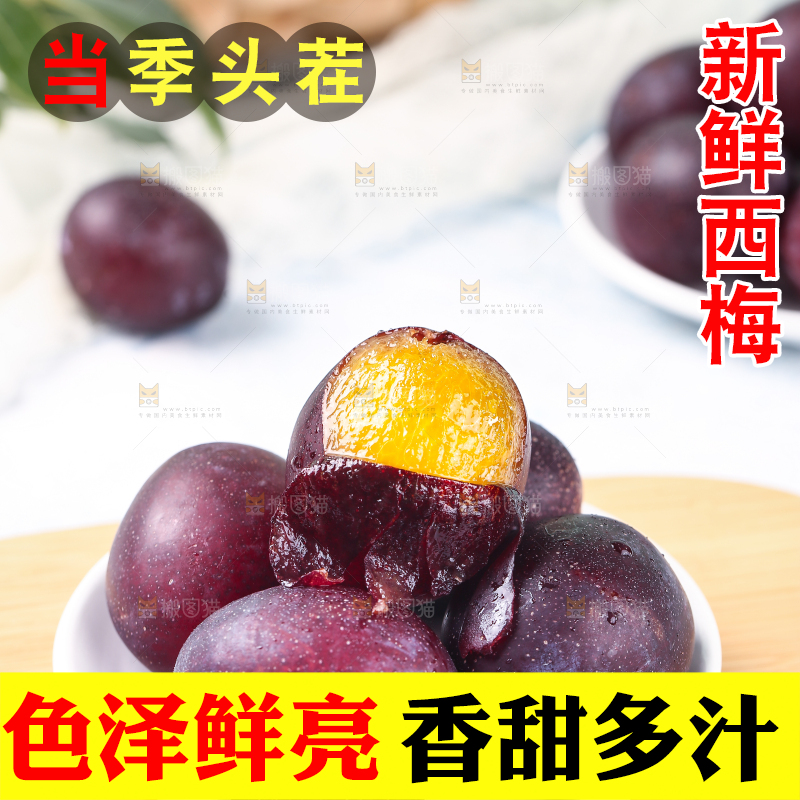 浅底上的澳洲西梅
