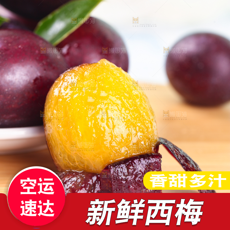 浅底上的澳洲西梅