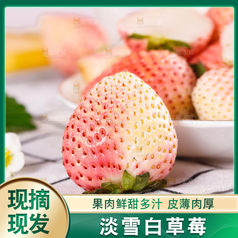 浅底上的淡雪草莓