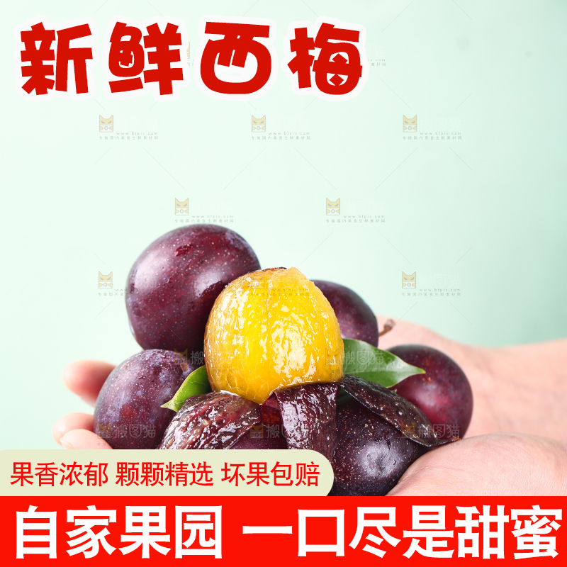 浅底上的澳洲西梅