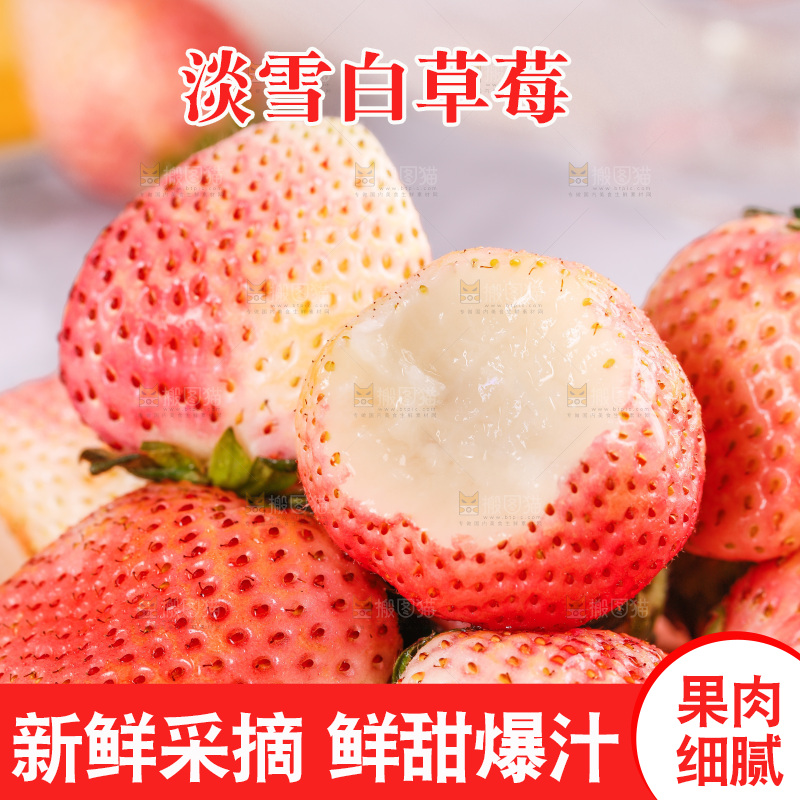浅底上的淡雪草莓