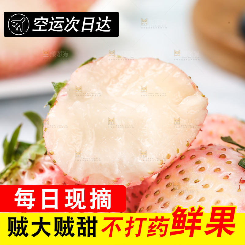 浅底上的淡雪草莓
