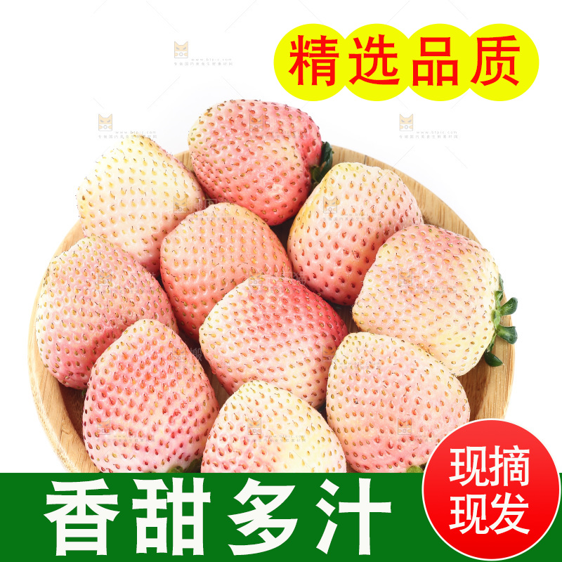白底上的淡雪草莓