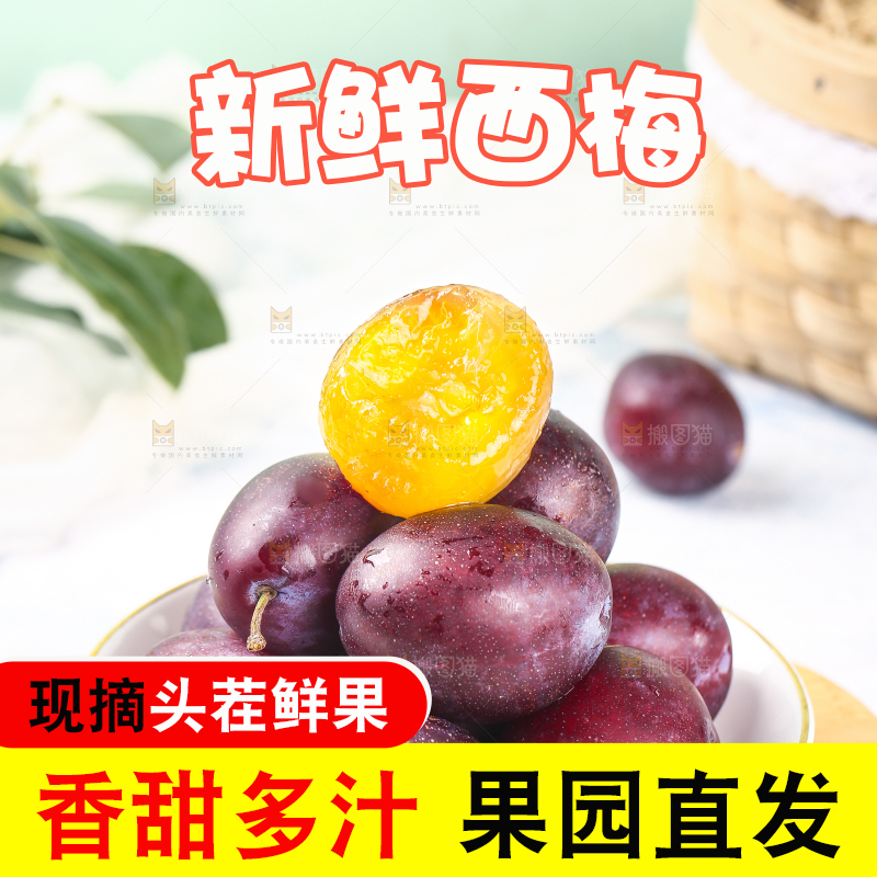 浅底上的澳洲西梅