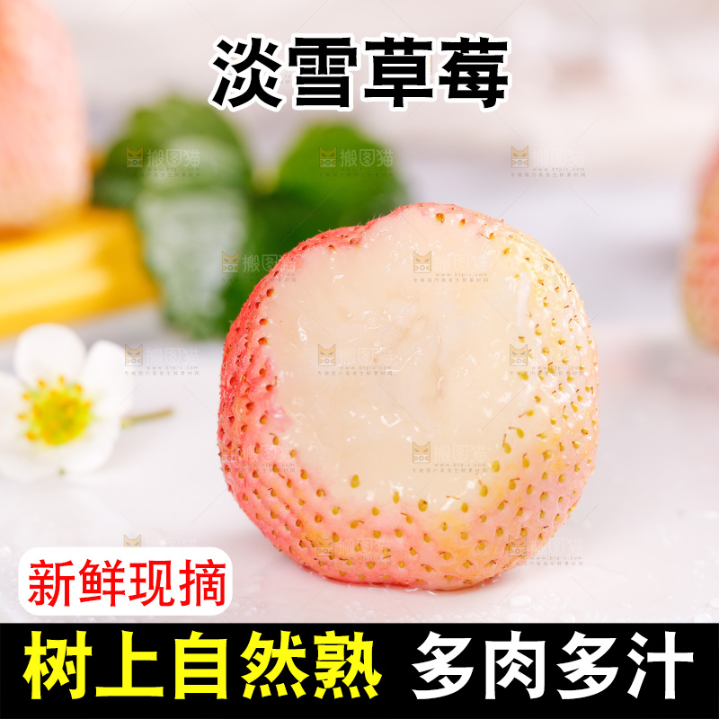 浅底上的淡雪草莓
