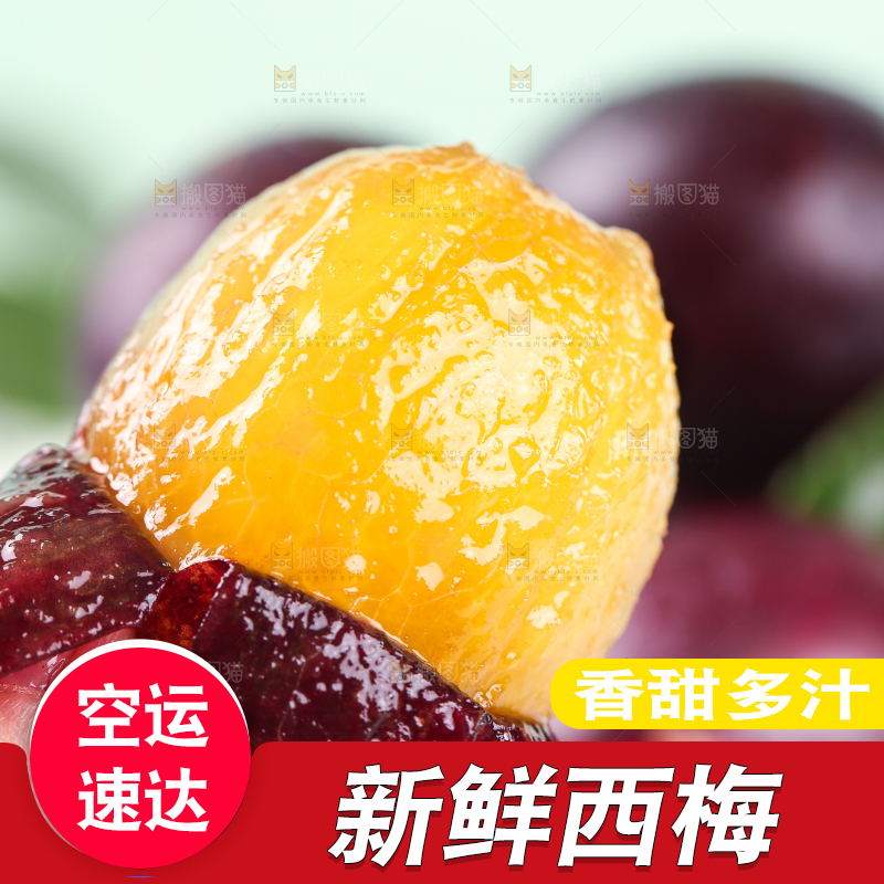 浅底上的澳洲西梅