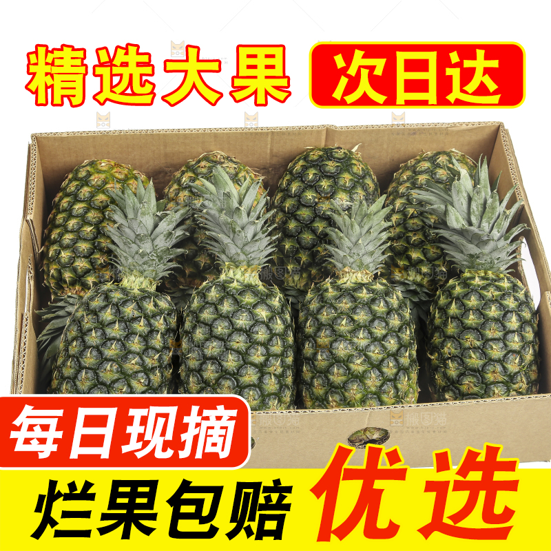 白底上的新鲜凤梨