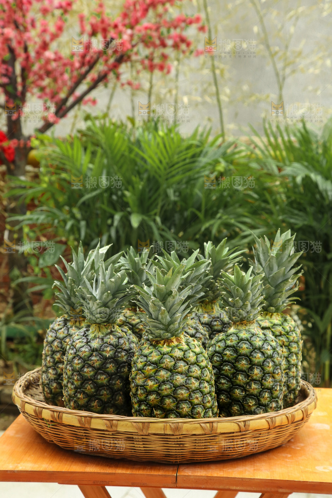 深底上的新鲜凤梨