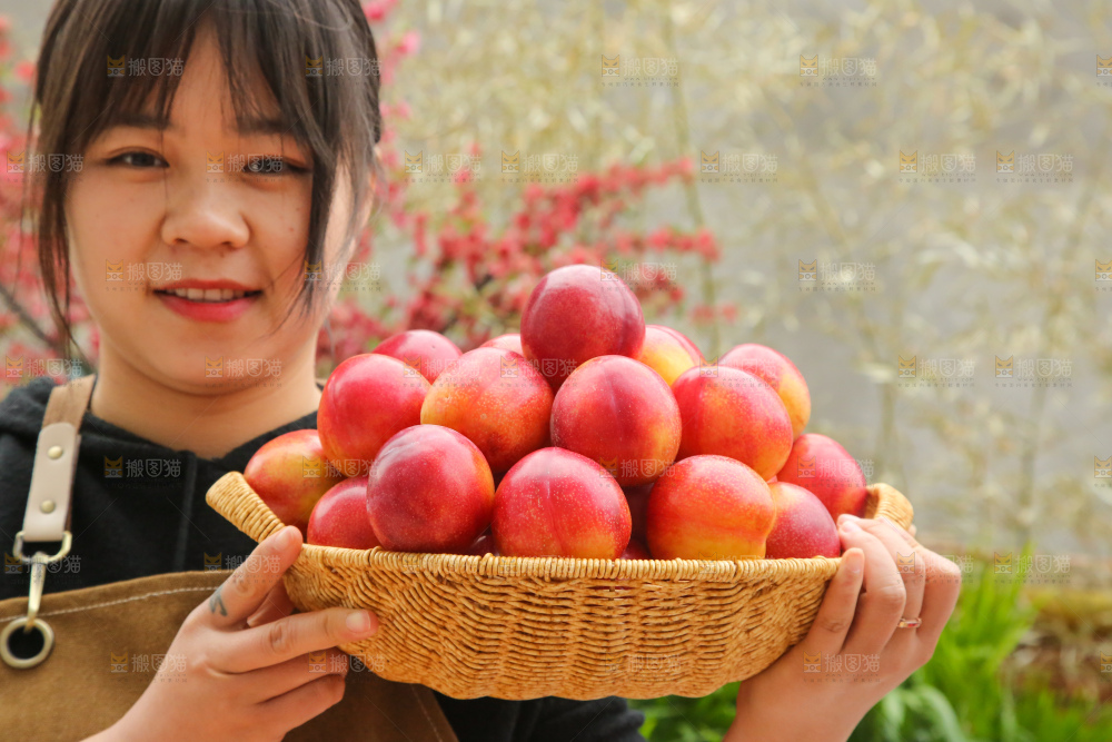 手里拿着珠宝李