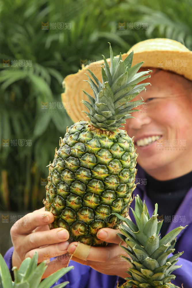 手里拿着新鲜凤梨