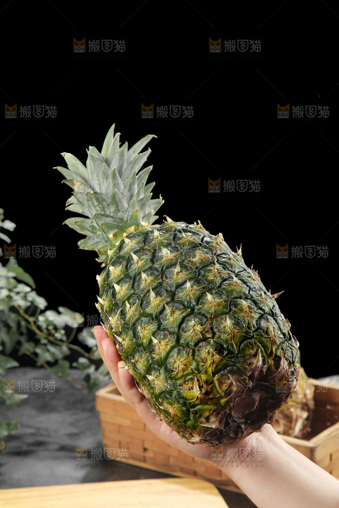 深底上的新鲜凤梨
