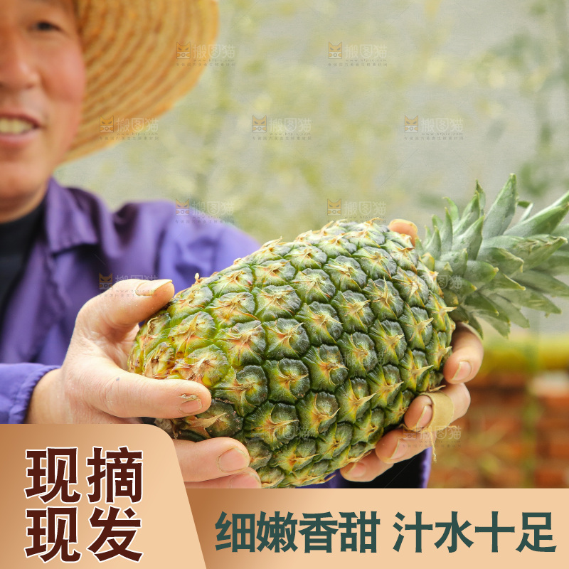 手里拿着新鲜凤梨