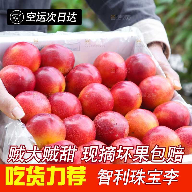 木底上的珠宝李