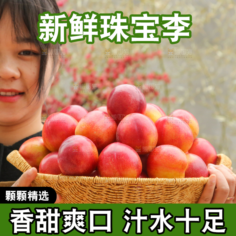 手里拿着珠宝李