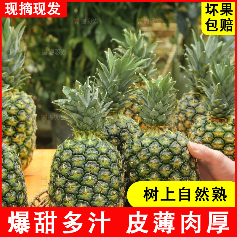 手里拿着新鲜凤梨