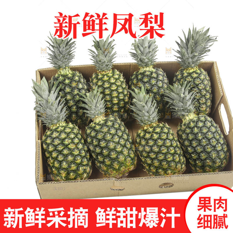 白底上的新鲜凤梨