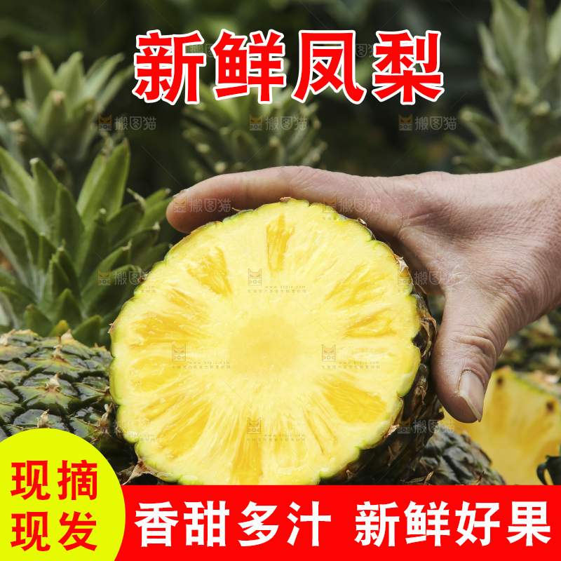 深底上的新鲜凤梨