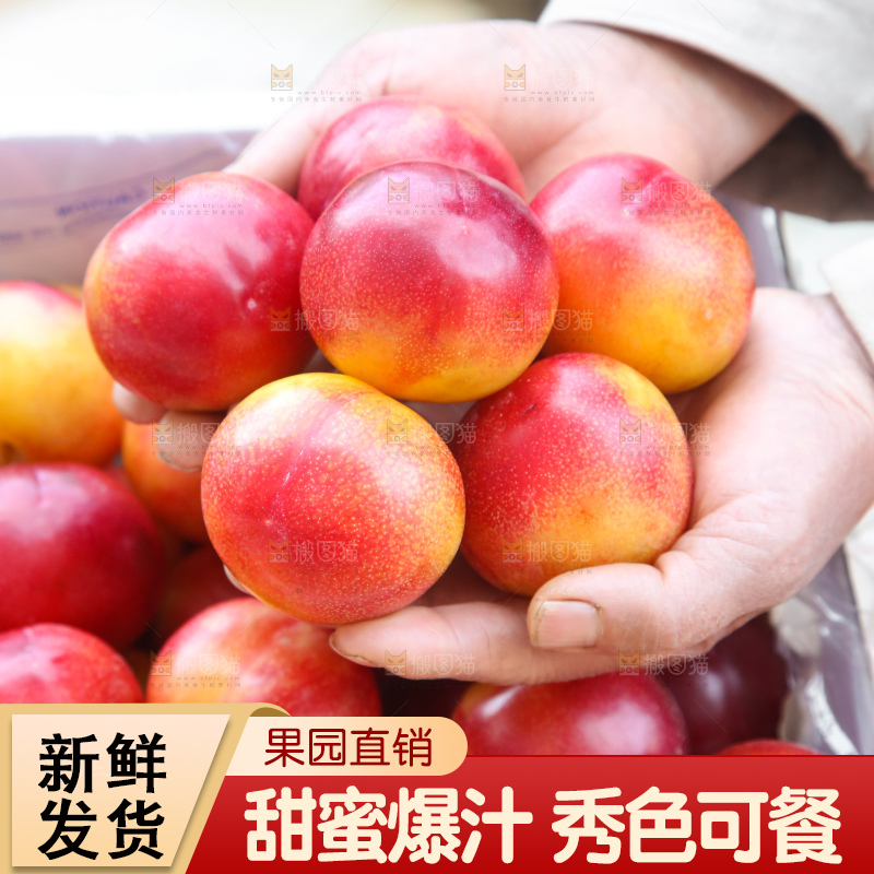 手里拿着珠宝李