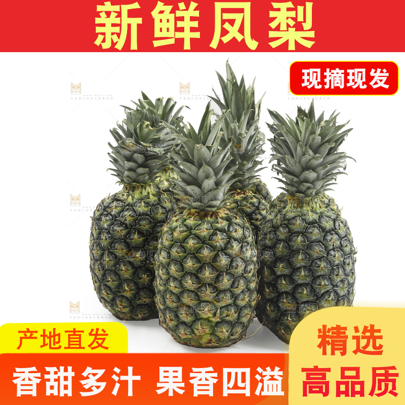 白底上的新鲜凤梨