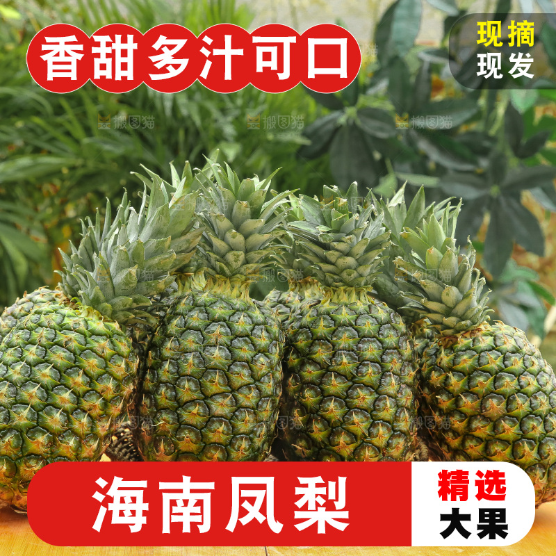 手里拿着新鲜凤梨