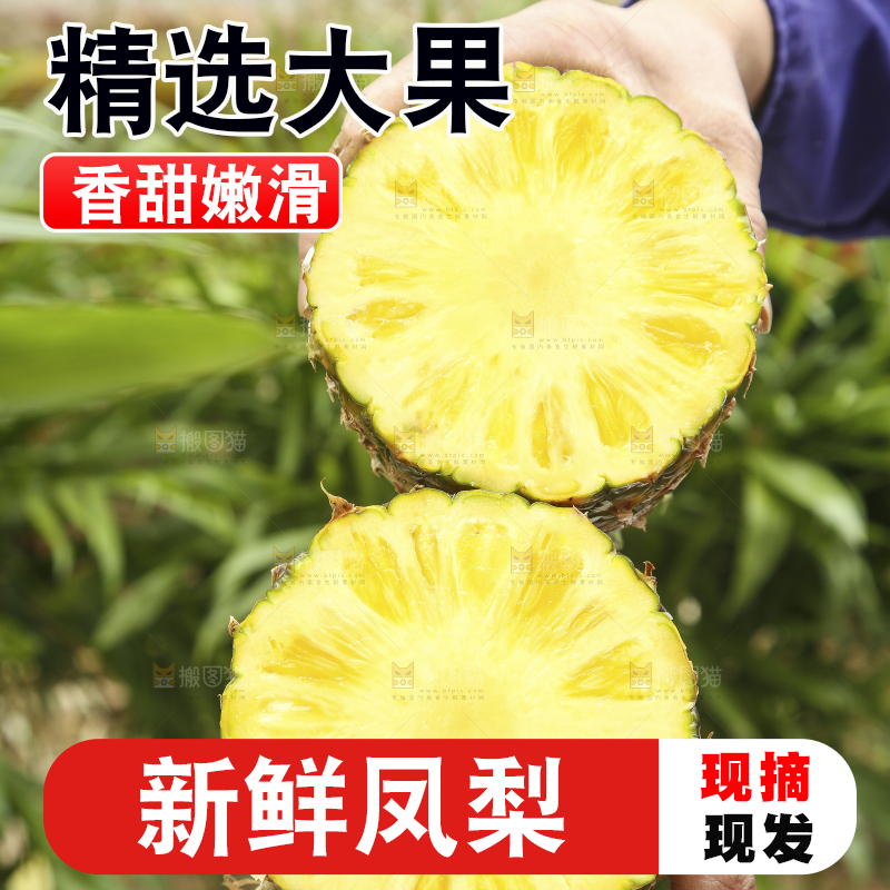 手里拿着新鲜凤梨