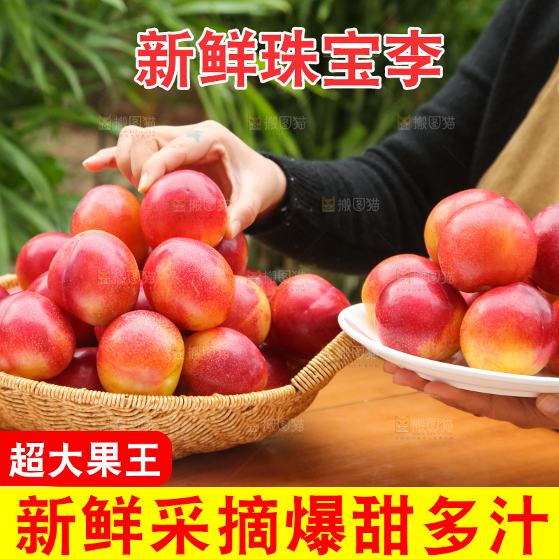 木底上的珠宝李
